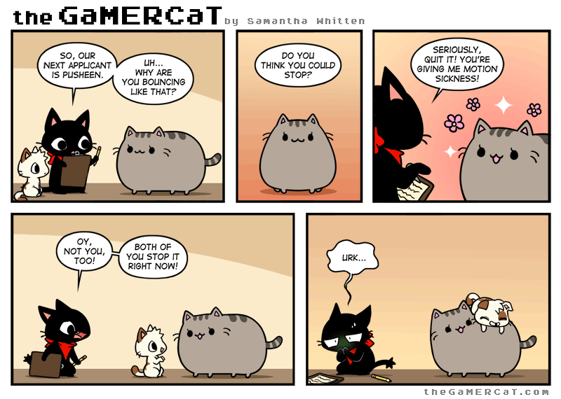 bouncer the gamercat